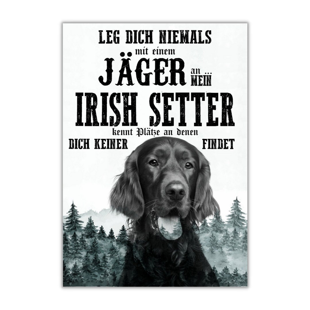 Schild IRISH SETTER Dog Hund Jäger Spruch Türschild Etsy