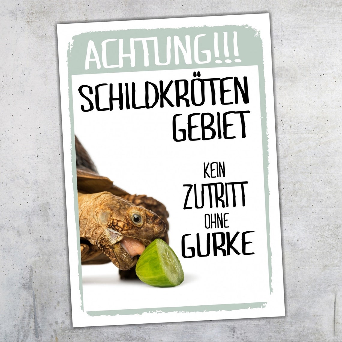 Achtung Schildkröte Kein Zutritt Schild lustig mit Spruch Etsy