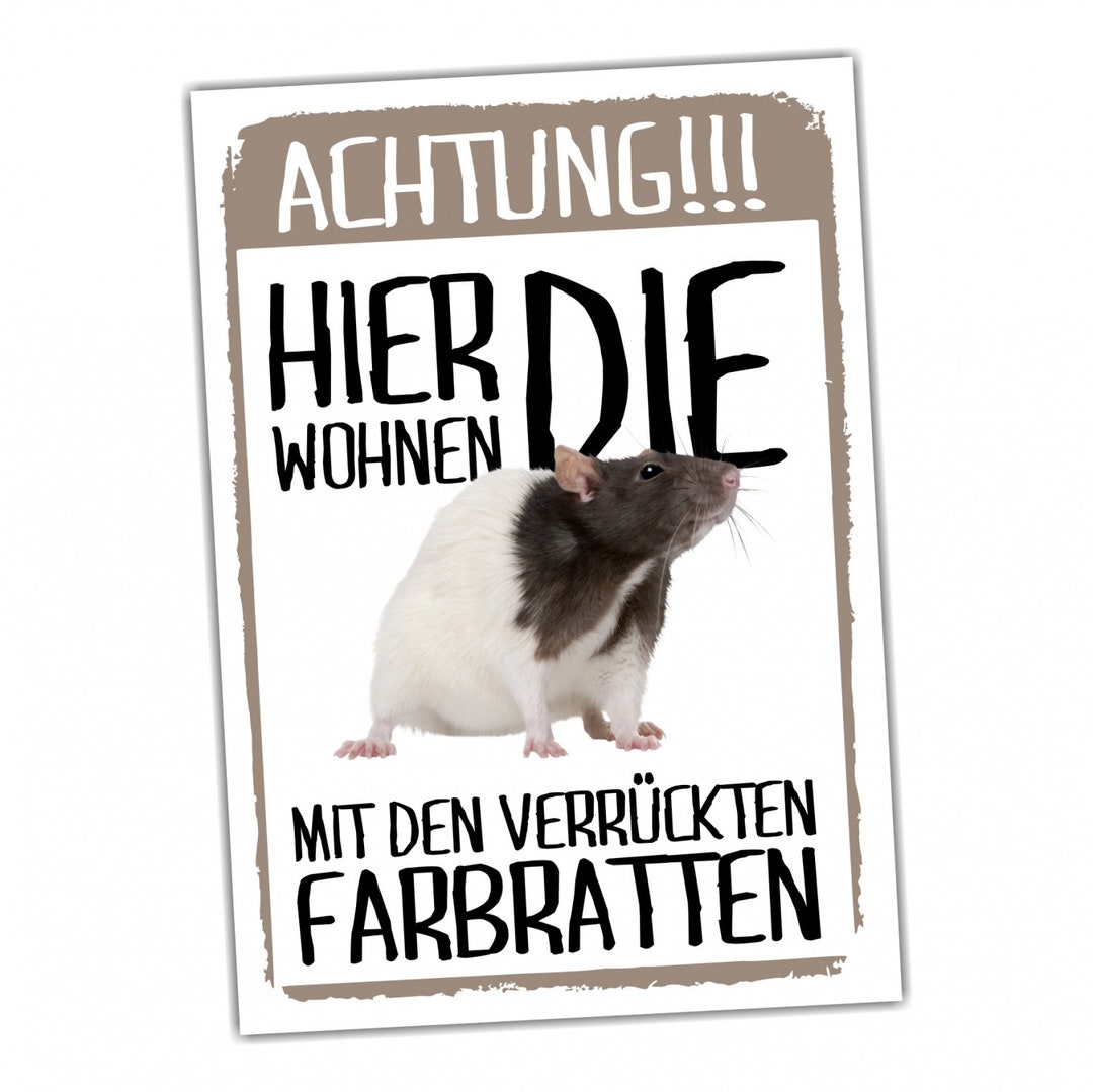 Achtung Ratte Wohnen Schild Lustig Spruch Türschild Warnschild Fun
