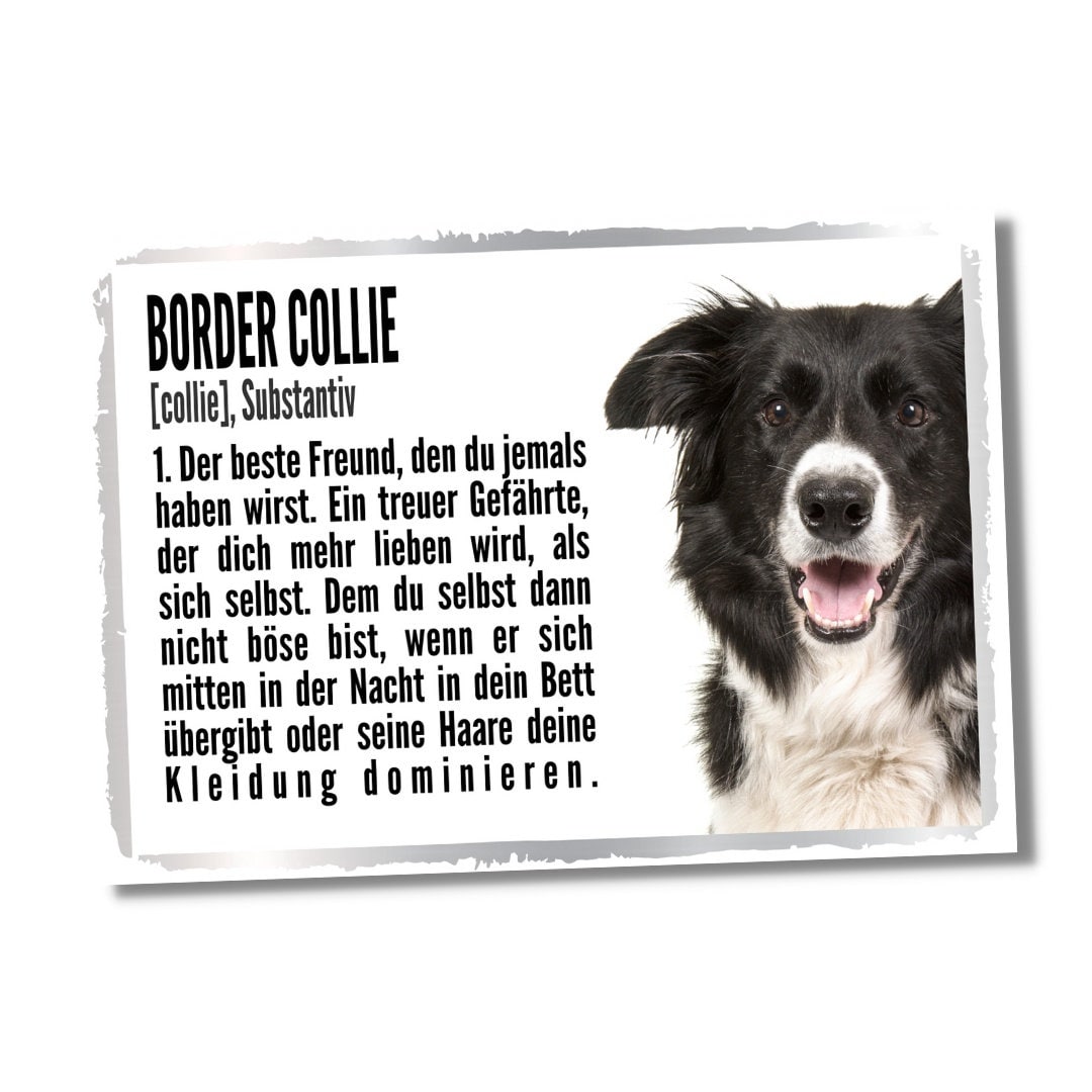 Border Collie Metall-Warnschild – 30,5 X 20 Cm (A4), Aluminium 0,5 Mm, Abgerundete Ecken, Mit Optionalen Befestigungslöchern