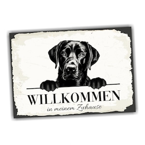 Warnschild Labrador & Golden Retriever - Metallschild 30,5x20 Cm, Hundewarnung, Aluminium