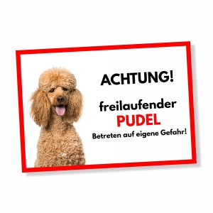 Pudel Freilaufender Hund Dog Schild Spruch Türschild Hundeschild Warnschild Deko