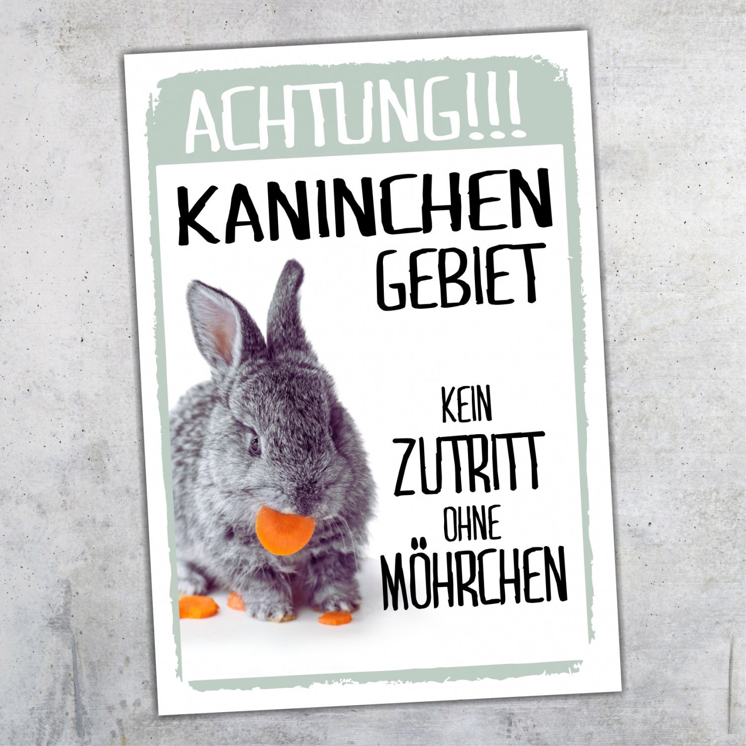 Nanyuk Kaninchen Warnschild – Metallschild Für Tür Oder Garten, Größe A4 (30,5x20 Cm)