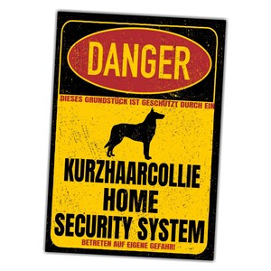 Könnte beinhalten: Ein gelb-schwarzes Schild mit dem Wort "DANGER" in einem roten Oval. Das Schild zeigt eine schwarze Silhouette eines Hundes und den Text "KURZHAARCOLLIE HOME SECURITY SYSTEM".