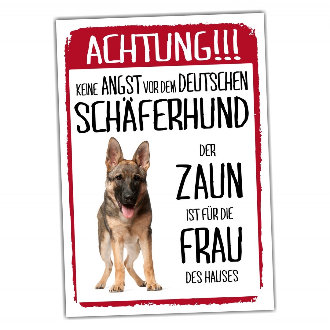 Pon Dog Türschild „Achtung Zaun“ – Alu-Verbundplatte 20x14 Cm, Wetterfest, Lustiger Spruch Mit Hundemotiv