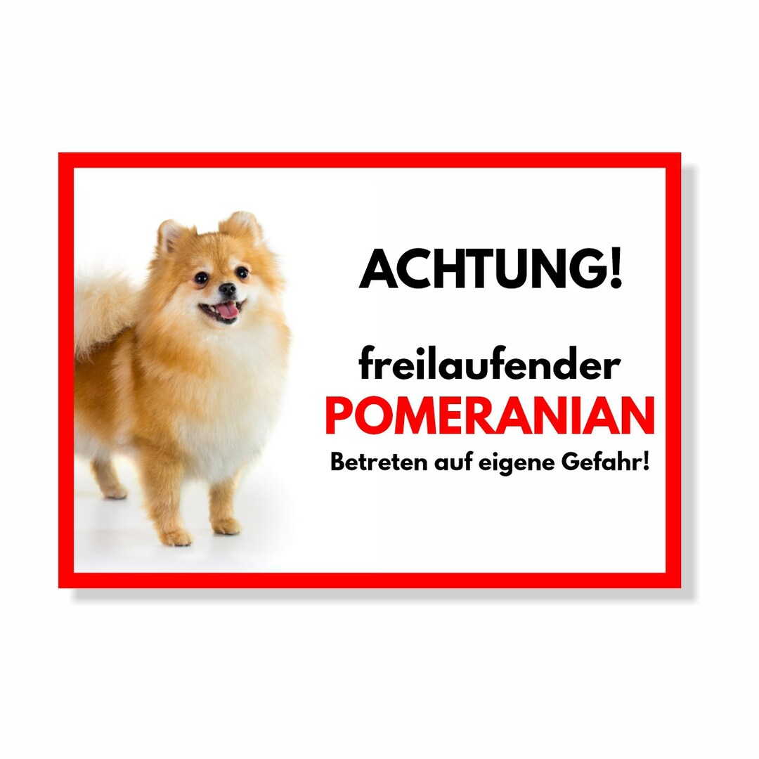 Warnschild 'Freilaufender Golden Retriever' – Aluverbund, 20x14 Cm, Wetterfest