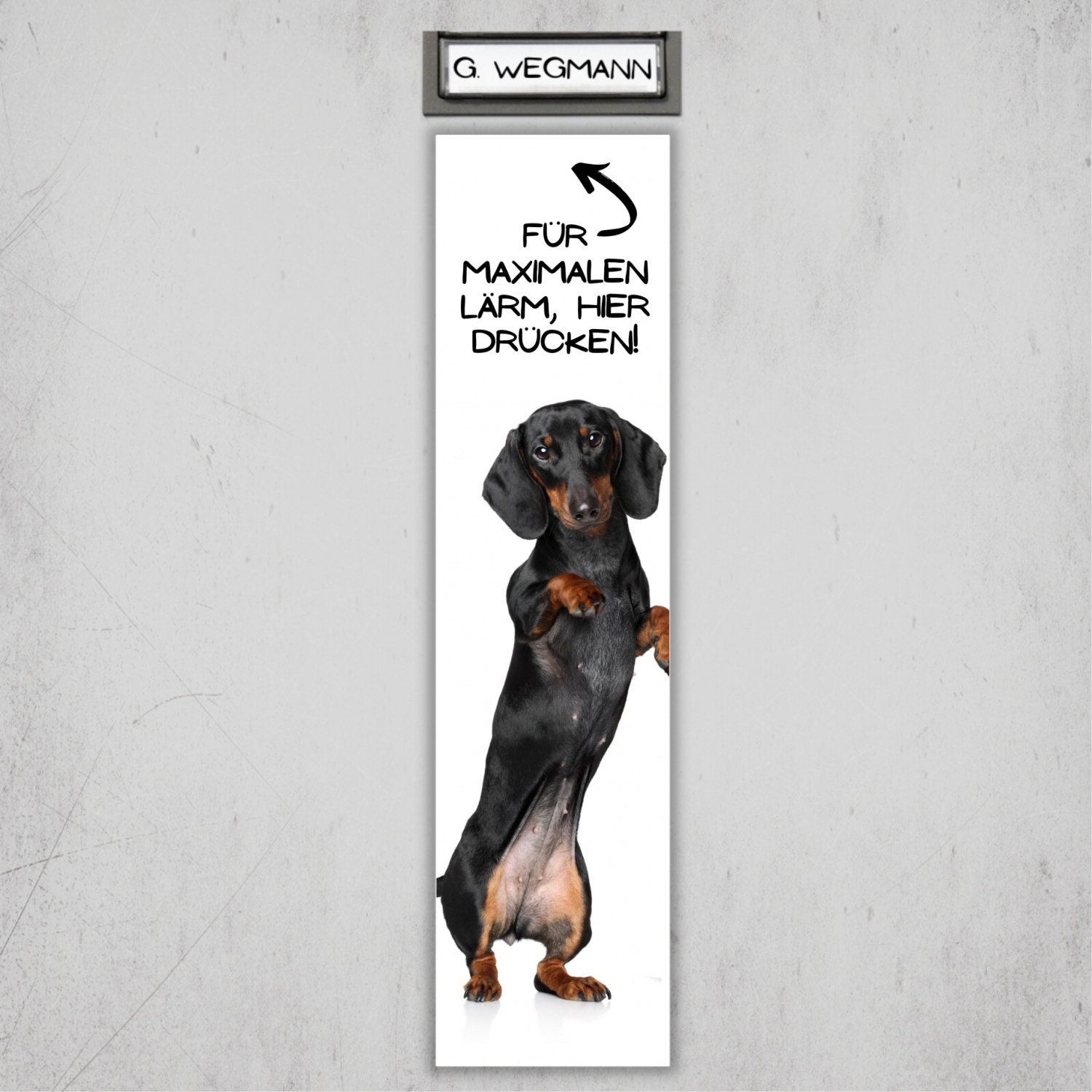 Are Dachshund Noisy