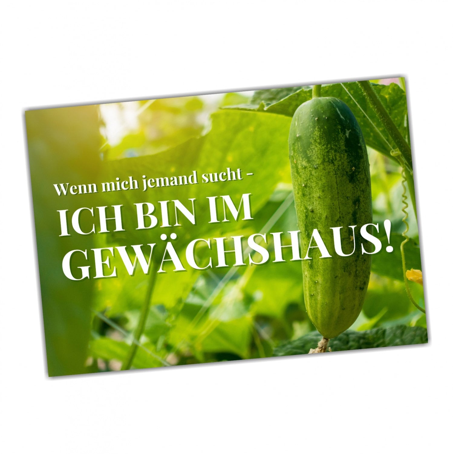 Garten bin im Gewächshaus Schild lustiger Spruch Türschild Warnschild