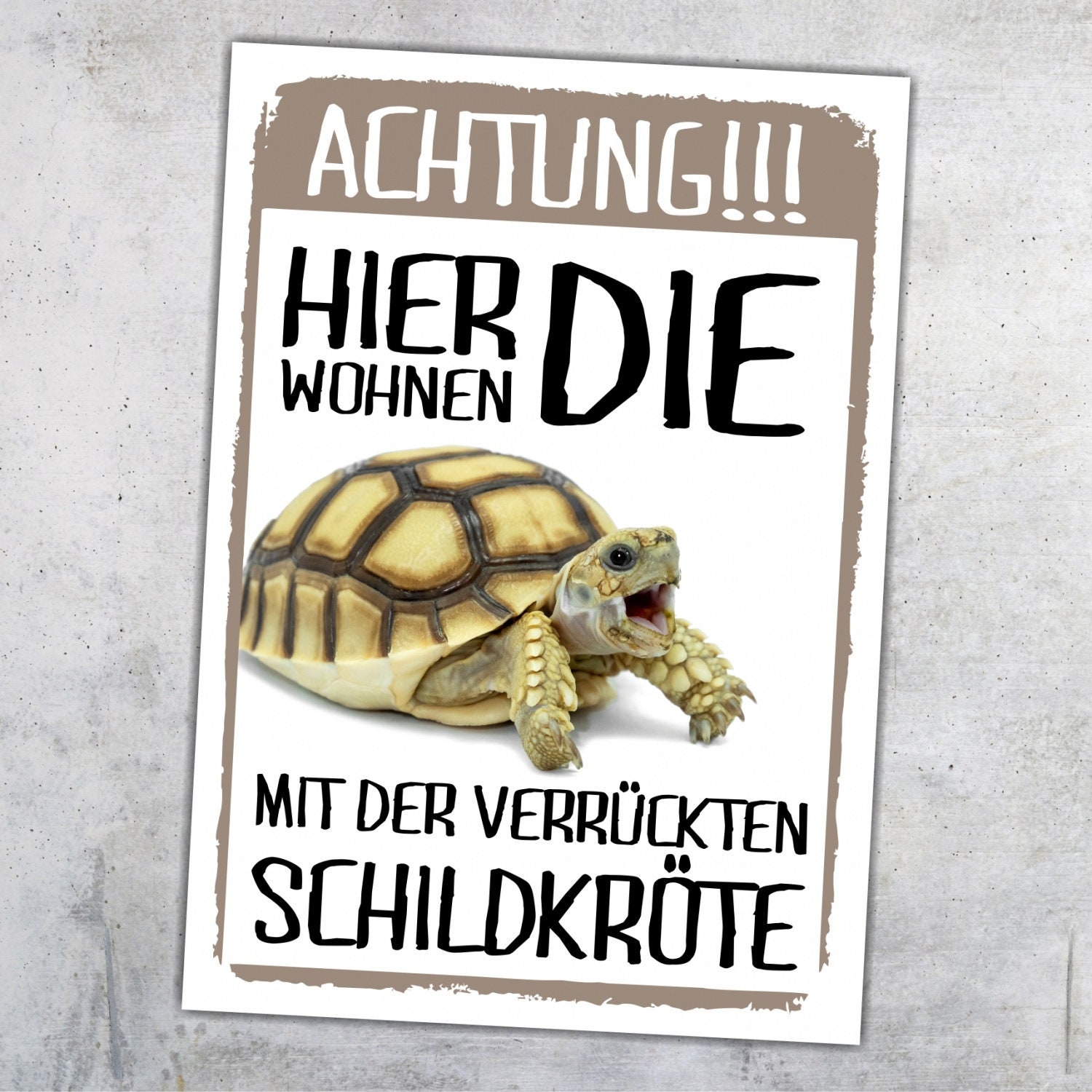 Achtung Schildkröte hier wohnen Schild lustig mit Spruch Türschild