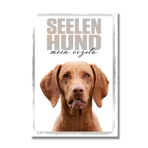 Magyar Vizsla Seelenhund Dog Schild Spruch Türschild Hundeschild Warnschild Soulmate Deko