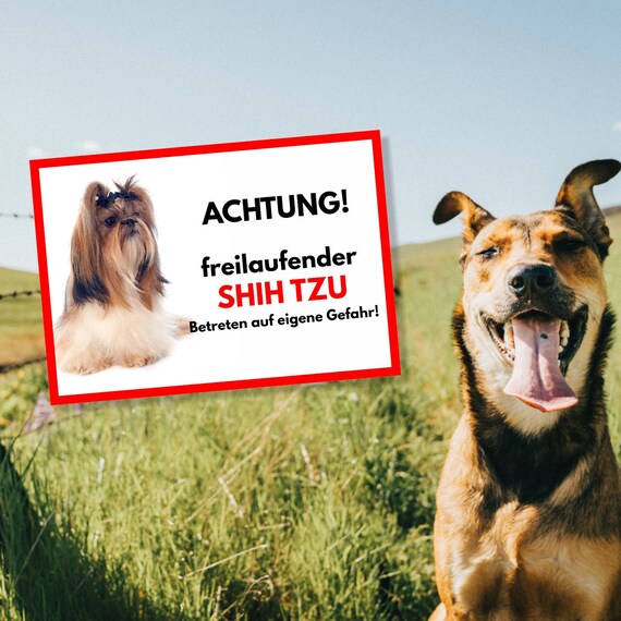 Shih Tzu Warnschild – Alu-Schild 20x14 Cm „Freilaufender Hund“ Für Garten & Tür