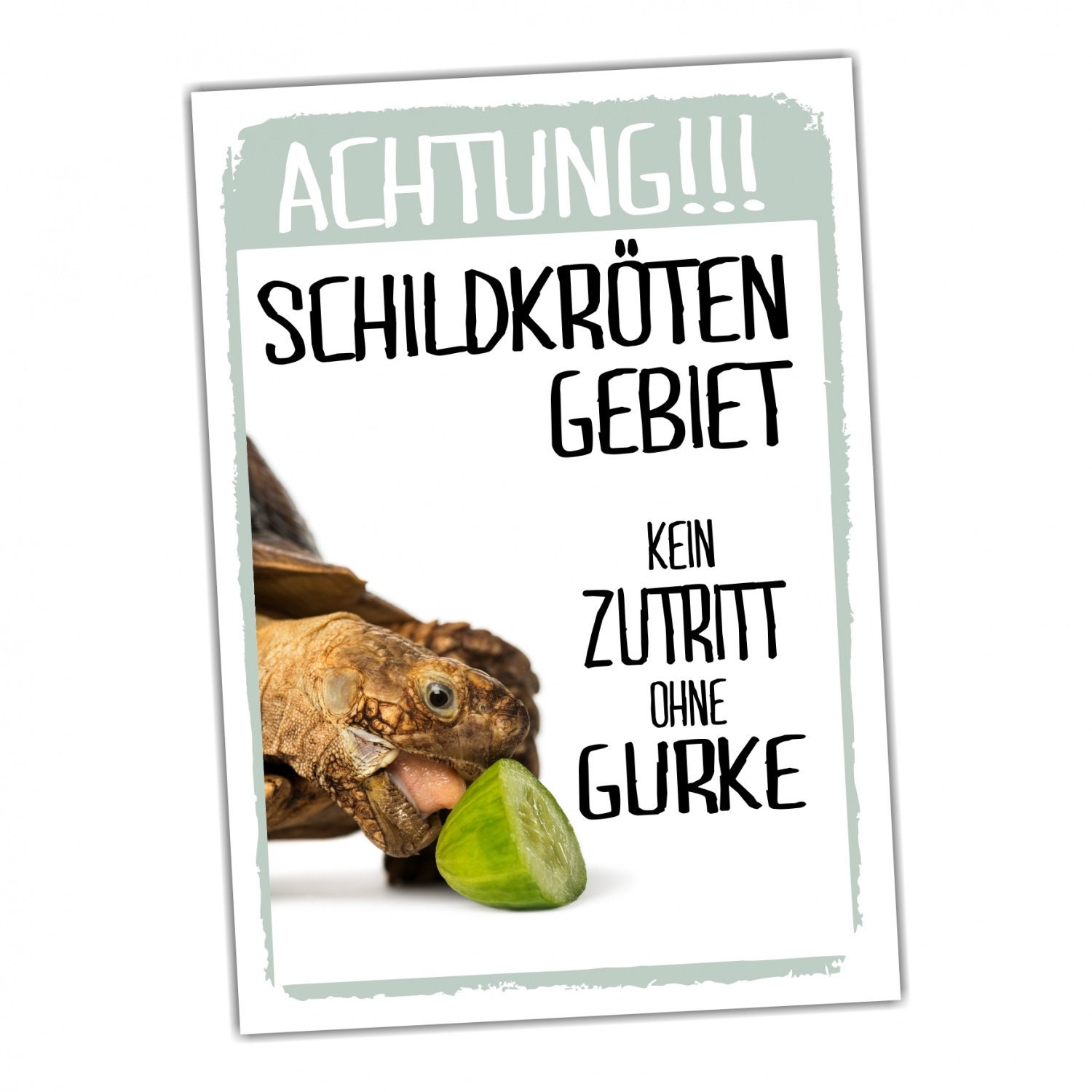 Achtung Schildkröte Kein Zutritt Schild lustig mit Spruch Türschild