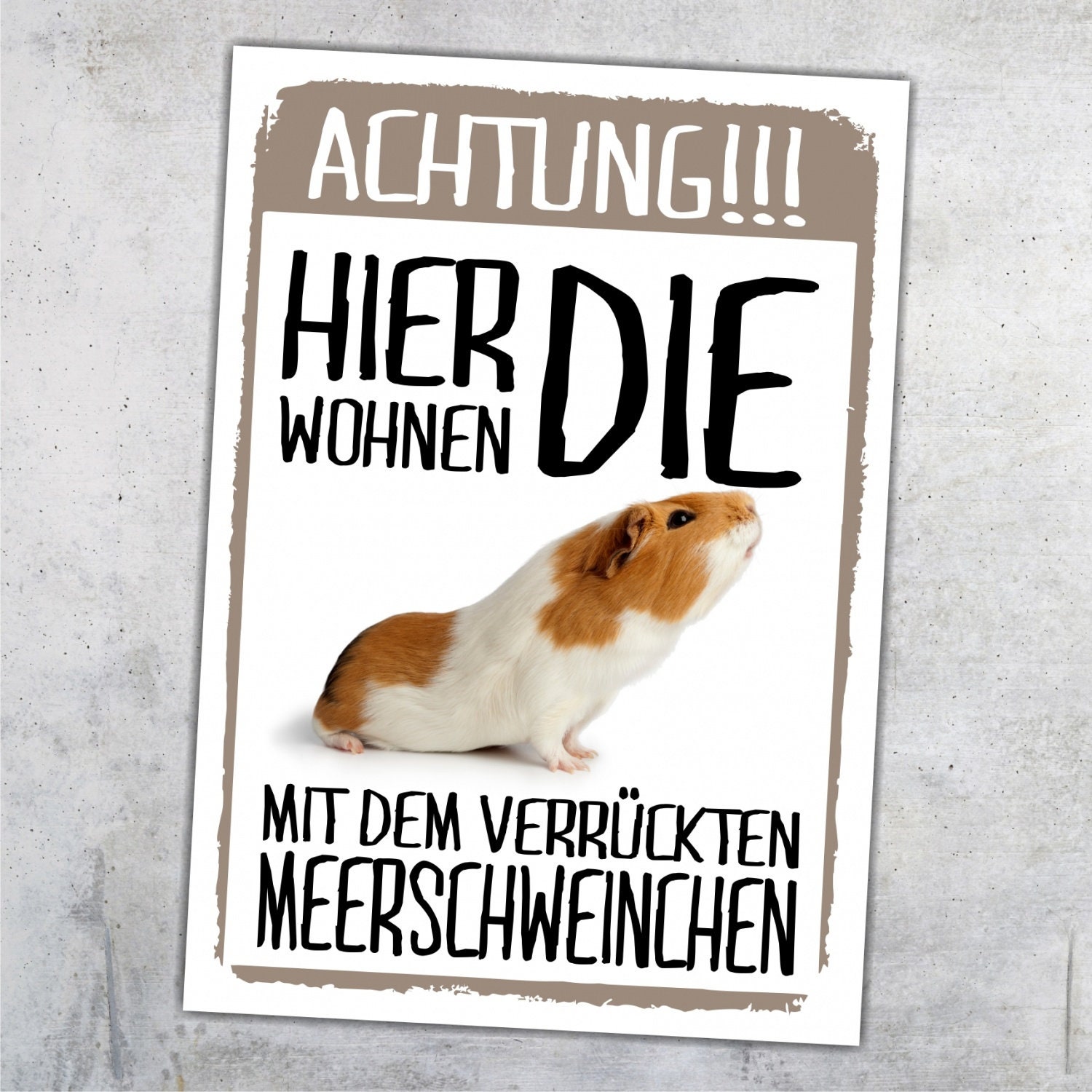 Meerschweinchen lustig wohnen Schild lustig Spruch Türschild Etsy