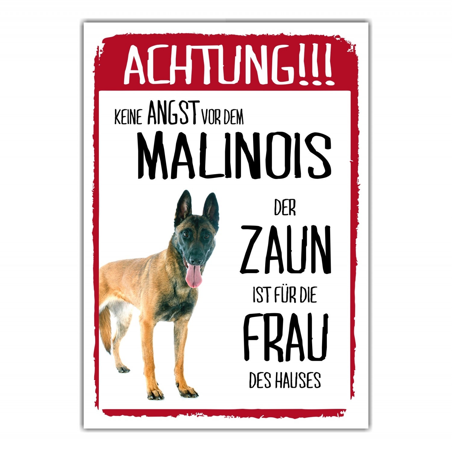 Warnschild 'Beware Of Dog' Aus Aluminium – Robust, Wetterfest & Leicht Zu Montieren (30,5x20,3 Cm)
