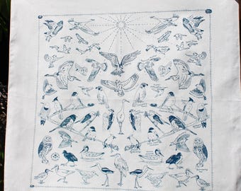 Bandana- Birds of Utah, California, shorebirds, rocky mountains, southwest, blue