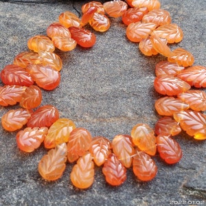 Perline intagliate a forma di pera corniola rossa 7 "pollici gemma AAA per peso di perline gioielli - 97 carati
