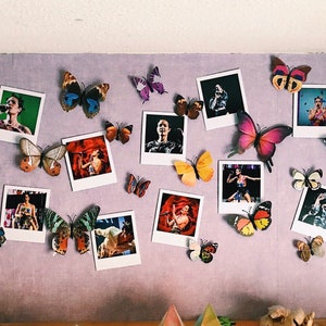 Halsey Manic zwiedza Polaroida 15x