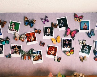 Halsey Manic tour Polaroid’s 15x