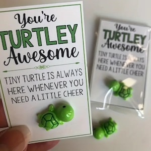 Eine kleine Taschenschildkröte, um jemanden daran zu erinnern, wie großartig er ist!