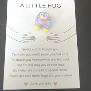 Eine kleine Taschenpinguin Umarmung