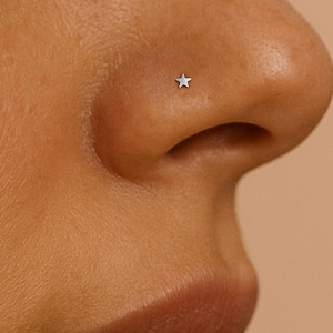 Nasenstecker Nase Piercing kleine Nase Bolzen Stern Nasenstecker Silber Nasenstecker Nase Piercing Schmuck 24g Gerade L Form Beitrag 2 mm Stern