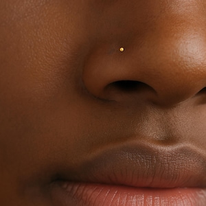 Peut inclure: Gros plan sur le visage d'une personne avec un petit piercing de nez doré. Le bijou est de forme simple et ronde. Le teint est brun chaud. L'accent est mis sur le nez et le bijou.