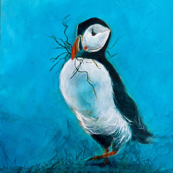 Puffin on Blue Fine Art Print