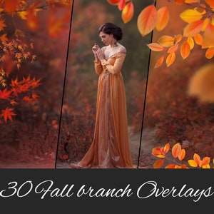 30 PNG Autumn Branch Tree Photo Overlays: Fall, Autumn Overlays, Fall Leaves, Fall Branch, Maple, Rose, Fothergilla - Photoshop Compatible