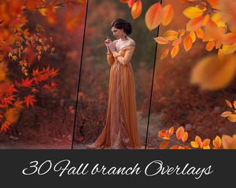 30 PNG Autumn Branch Tree Photo Overlays: Fall, Autumn Overlays, Fall Leaves, Fall Branch, Maple, Rose, Fothergilla - Photoshop Compatible