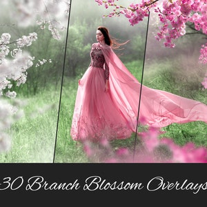 30 Blossoming Branch Tree Overlays, png: Cherry Blossom, Flowering Trees, Perfect for Summer and Spring Sessions