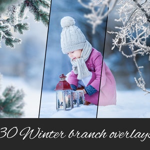 30 PNG Winter Branch Tree Photo Overlays: Christmas Trees, Fir Trees, Frozen Branches, Snowy Scenes