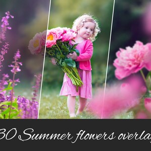 30 PNG Abstract Summer Flowers Overlays: Flower Field, Peonies, Lavender, Floral Elements for Outdoor Photo Sessions - Photoshop compatible