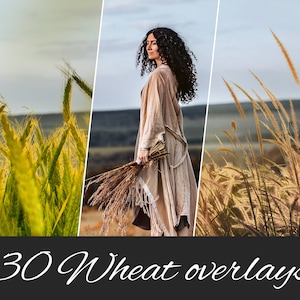 30 PNG Wheat Photo Overlays: Golden Fields, Summer Overlays, Flower Field, Outdoor Photo Sessions - Photoshop Compatible