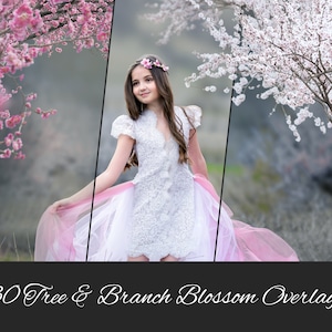 30 PNG Tree & Branch Blossom Photo Overlays: Blooming, Summer, Spring, Cherry Flowering Tree, Outdoor Photo Sessions - Photoshop Compatible