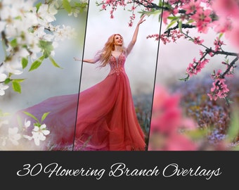 30 PNG Flowering Branch Tree Photo Overlays: Magnolia, Peach Blossom, Cherry Flowers, Spring Tree Brunches - Photoshop compatible