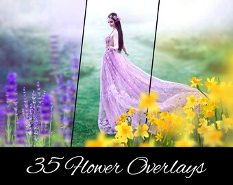 35 PNG Flower Field Photo Overlays: Floral, Summer Outdoor Photo Sessions - Lavender, Tulips, Daffodils, Rose - Photoshop Compatible
