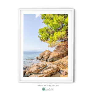 Op de afbeelding: Een foto van een rotsachtig strand met een groene boom op de voorgrond. Het water is blauw en de lucht is helder. De rotsen zijn een mix van bruin en oranje.