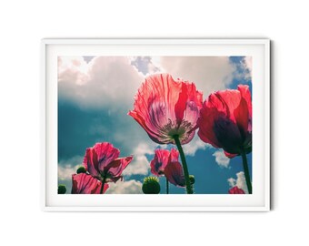 Red Poppy Flower Print, Fine Art Poppy Photography, Summer Wildflower Wall Art, Botanical Nature Art Print, Floral Cottage Style Decor