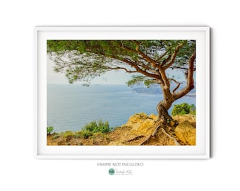 French Riviera Print, Fine Art Coastal Landscape Photography, Turquoise Mediterranean Sea Poster, Aerial Ocean Wall Art, Beach Themed Decor