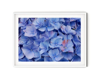 Blue Hydrangea Print, Fine Art Flower Photography, Large Pastell Flower Wall Art, Romantic Floral Art Print, Modern Farmhouse Decor