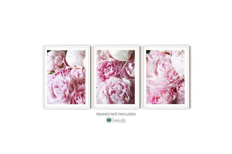 Blush Pink Peony Print Set, Fine Art Peony Photography, Pastel Flower ...