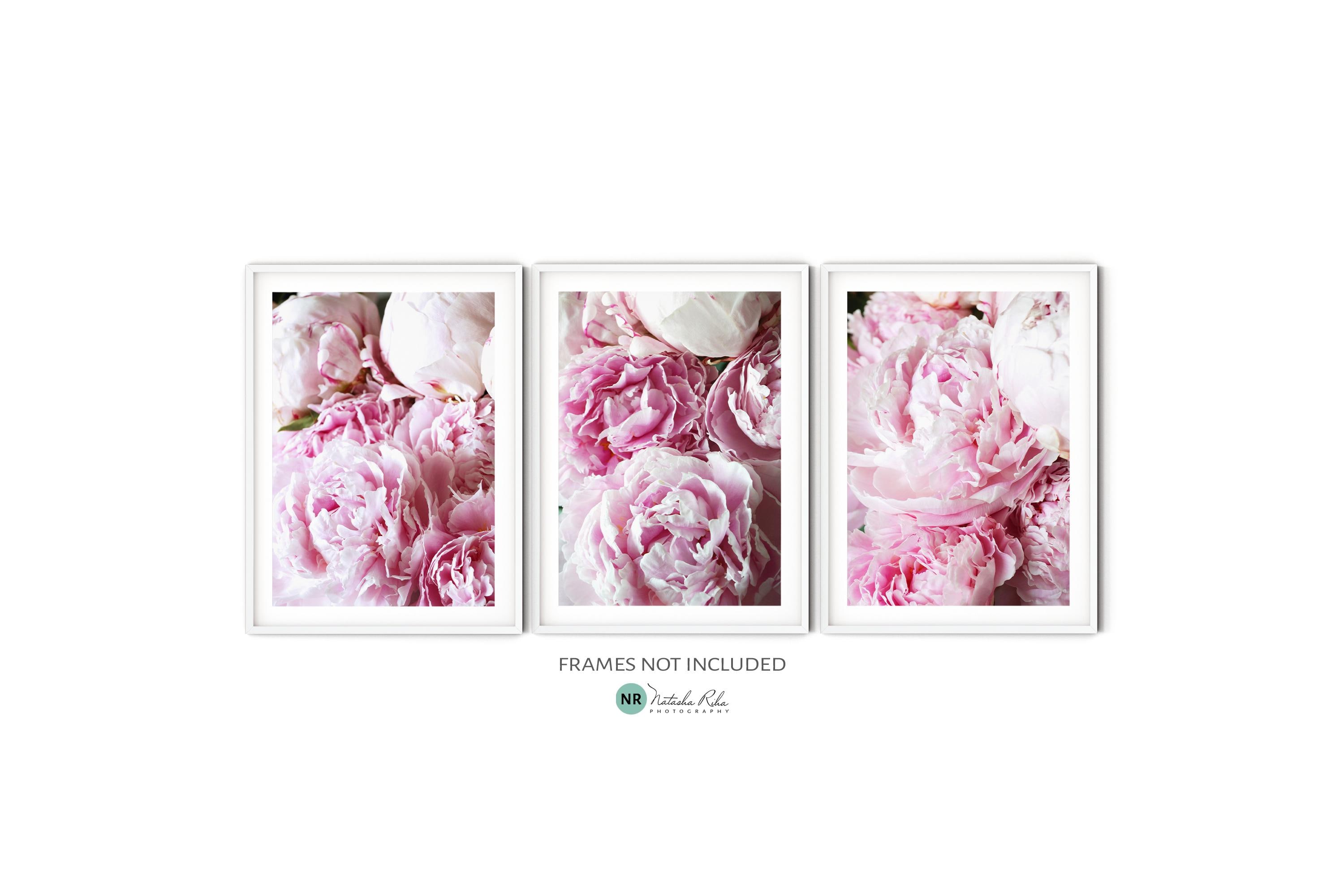 Blush Pink Peony Print Set, Fine Art Peony Photography, Pastel Flower ...