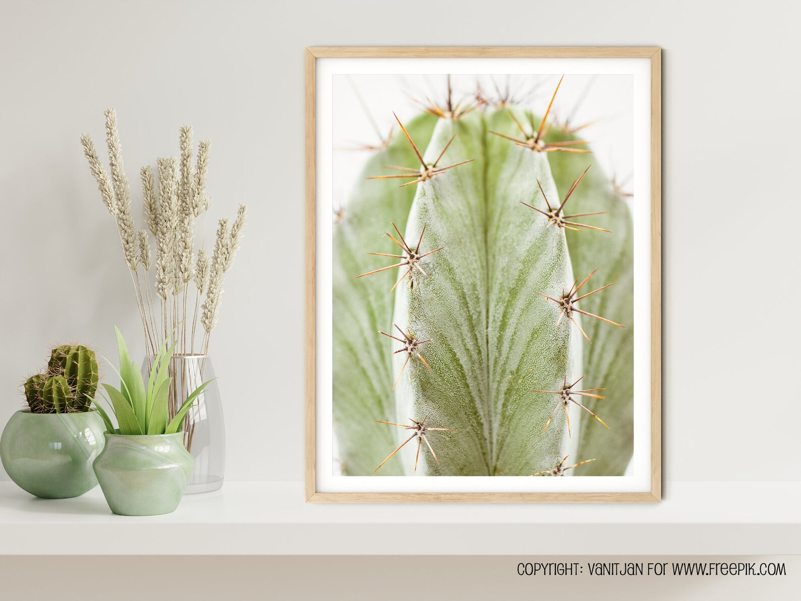 Cactus Photography // Large Cactus Wall Art Green Cactus Etsy UK
