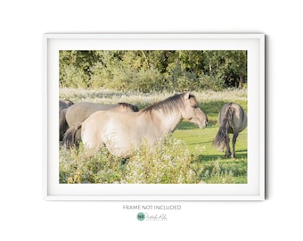 Fotografía de caballo salvaje beige || Póster grande de caballo para pared, impresión de vida silvestre para decoración campestre o como regalo para amantes de los caballos