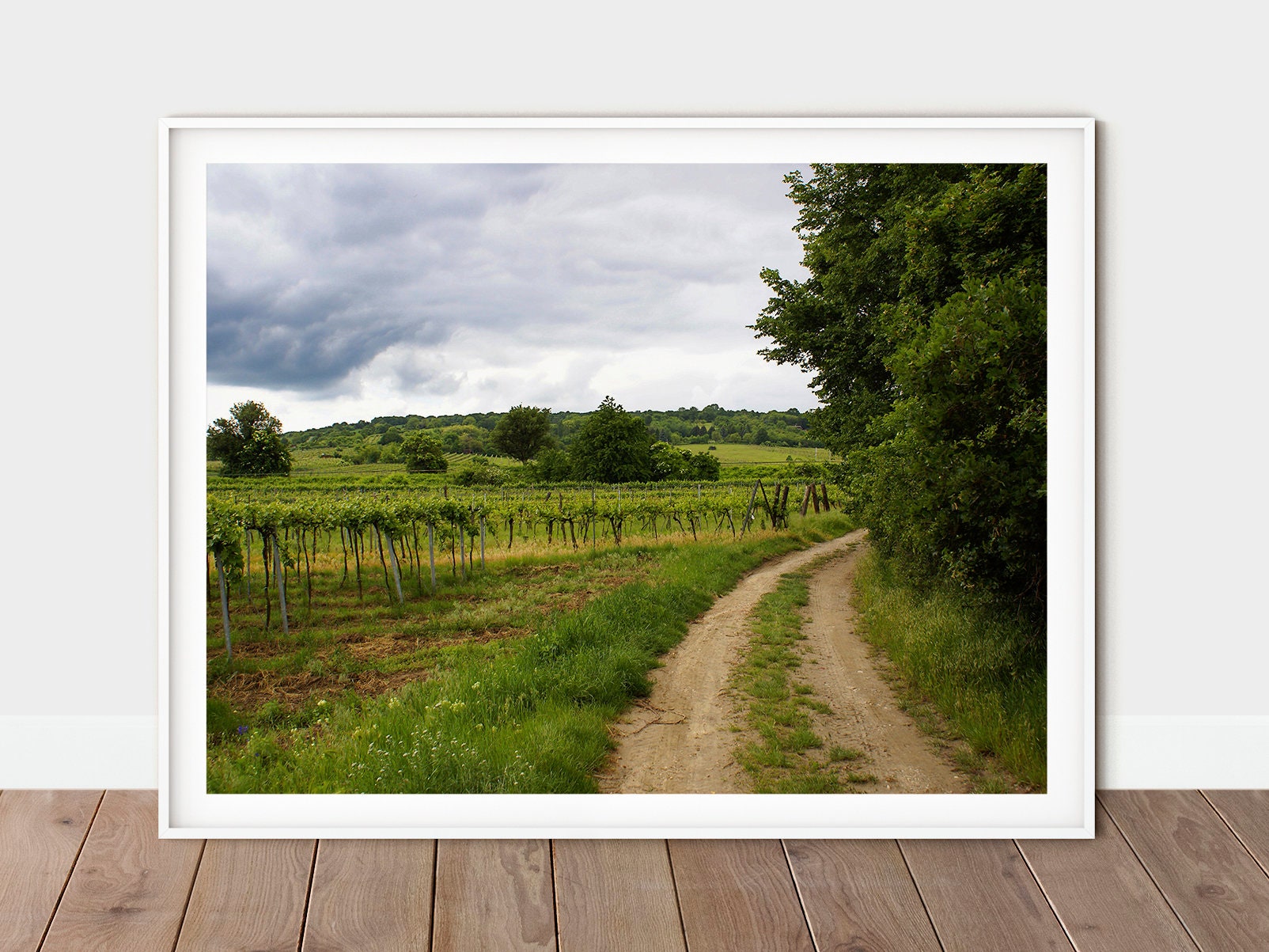 Wine Country Print / Vineyards Landscape Wall Art / Winery Etsy