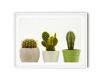 Modern Cactus Print, Fine Art Cactus Photography, Boho Desert Style Wall Art, Green Succulent Poster, Minimalist Southwestern Decor