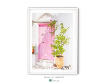 May include: A bright pink door with white trim is set in a whitewashed wall. A small green bush grows in a terracotta pot in front of the door. Two cats are lying on the ground in front of the door.