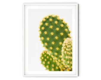 Abstract Cactus Print, Fine Art Cactus Photography Print, Green Succulent Wall Art, Desert Style Home Decor, Minimalist Southwestern Decor