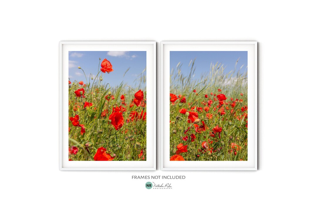 Red Poppy Flower Print Set, Fine Art Poppy Photography, Summer Flower ...