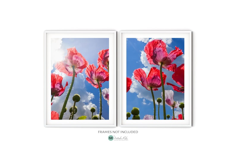 Red Poppy Wall Art Set of 2 Fine Art Photography Prints, Botanical ...